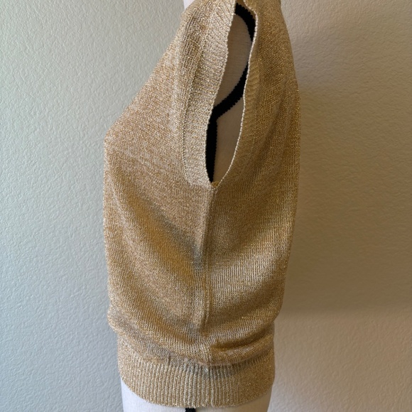 j.j.Browne Capsleeve Sweater Blouse with Gold Sparkle - Picture 4 of 5